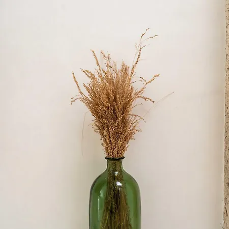 Ferienhaus Vabe Apulian *